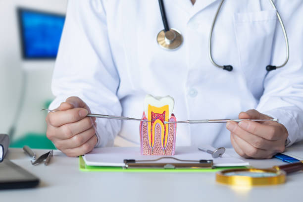 Best Emergency Dental Surgery in Ashley, OH